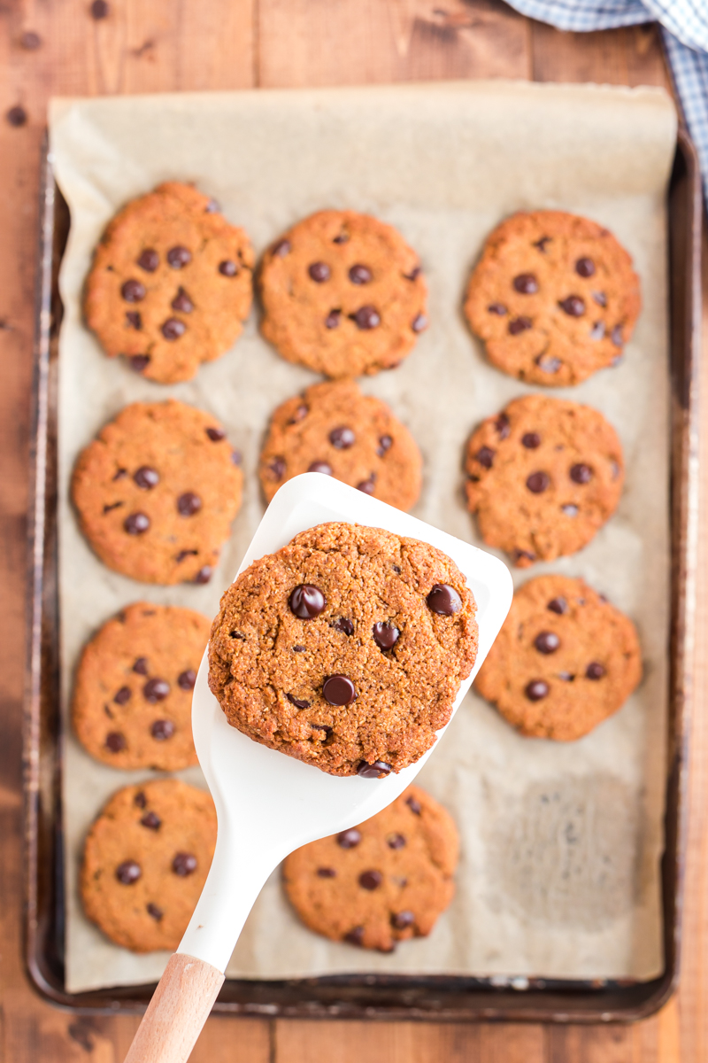 These pumpkin chocolate chip cookies are full of yummy fall spice and the perfect way to indulge in a gluten-free, low carb, keto pumpkin treat! #keto #lowcarb #glutenfree #grainfree #pumpkin #chocolate #chip #cookies #recipe