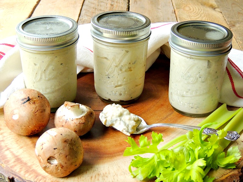 These Homemade Condensed Cream Of Soup Substitute Recipes are easy to make alternatives for traditional canned soups. Gluten-free, Keto, and vegetarian versions included. #homemade #healthy #lowcarb #keto #ketoadapted #ketorecipe #chicken #celery #mushroom #condensedsoup #easy #DIY #recipe | bobbiskozykitchen.com