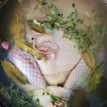 Turkey in a stock pot with white wine turkey brine.