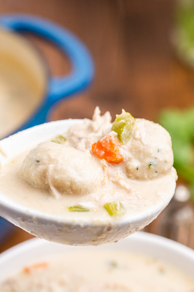 Closeup photo of a ladle full of keto herbed chicken and dumplings.