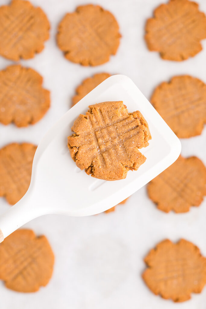 Keto Peanut Butter Cookies fresh out of the oven with one cookie on a white spatula above a baking sheet full of them.