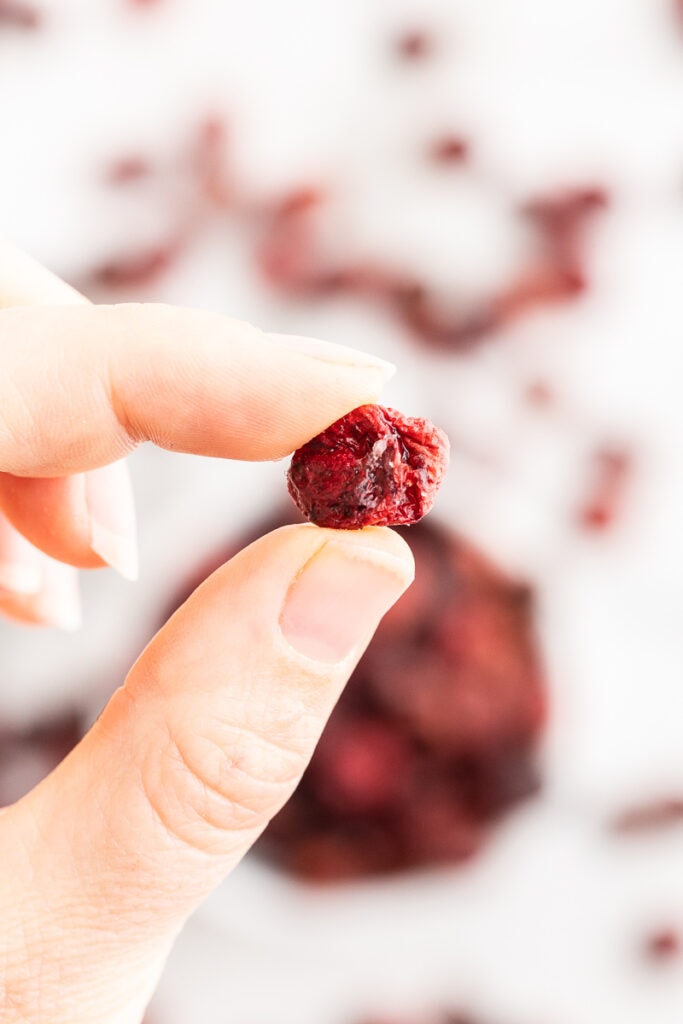 A hand holding a sugar-free dried cranberry up for the camera with more sugar-free dried cranberries in the background.