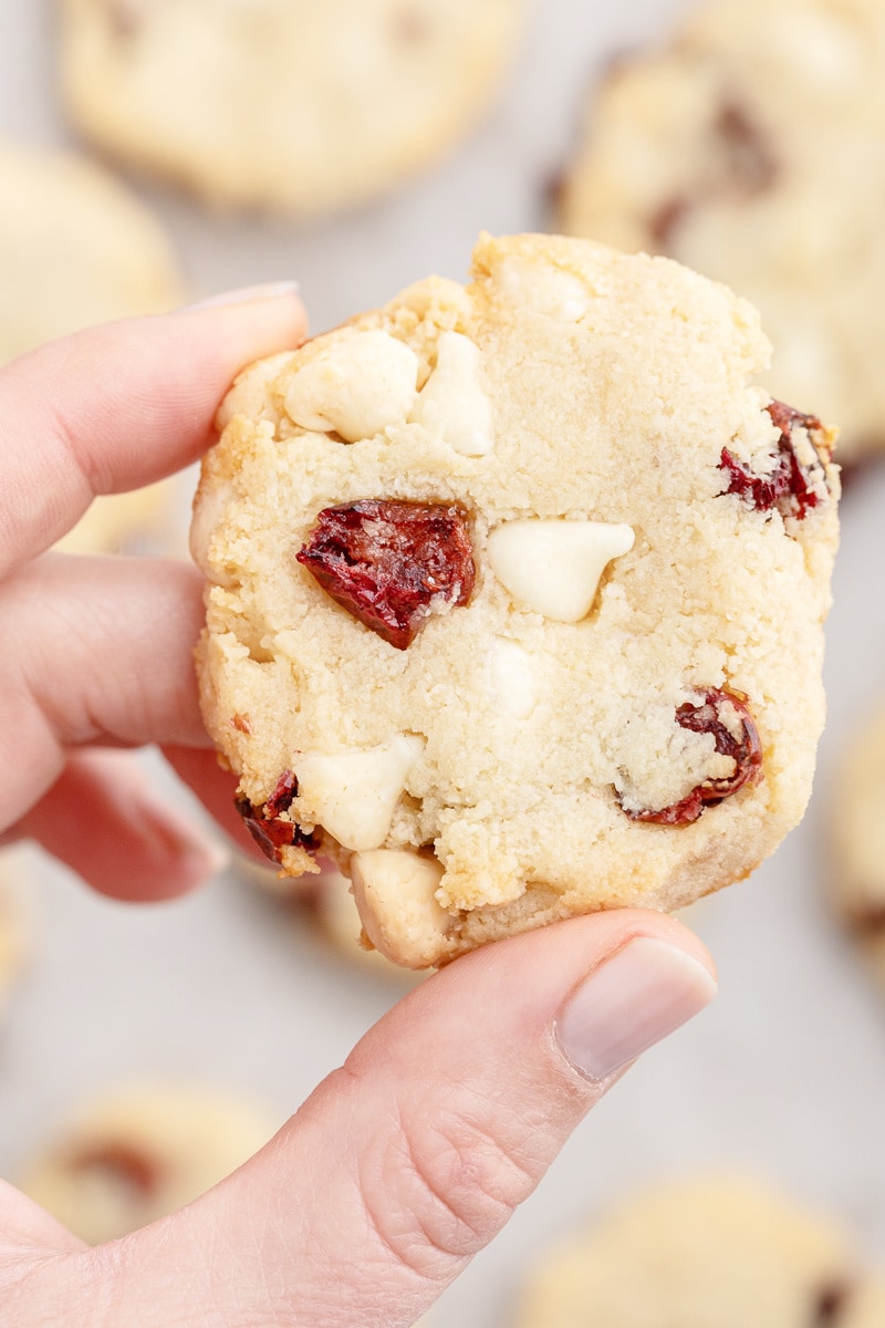 A female presenting hand holding a keto white chocolate cranberry cookie close to the camera.