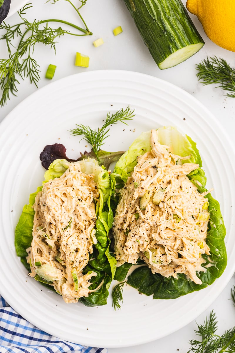 Overhead view of two lettuce wraps filled with cucumber dill chicken salad on a white plate.