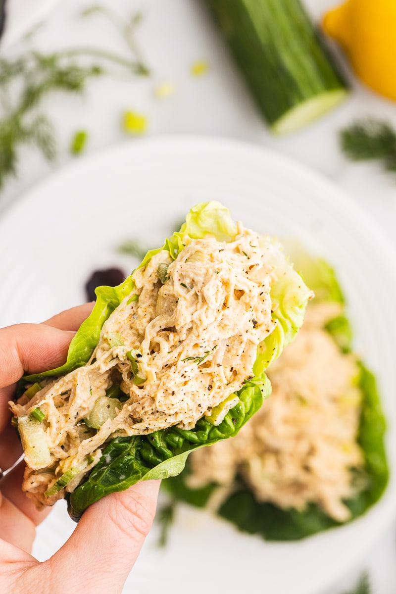 A white male presenting hand holding a lettuce leaf full of Cucumber Dill Chicken Salad.